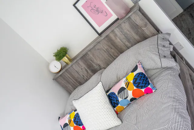 Premium Studio room image 1