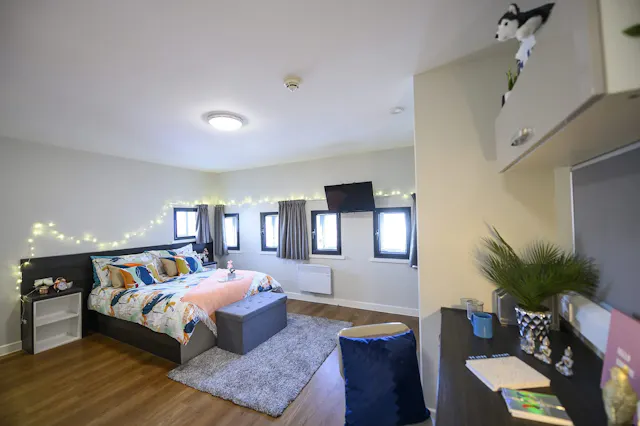 Deluxe Studio room image 1