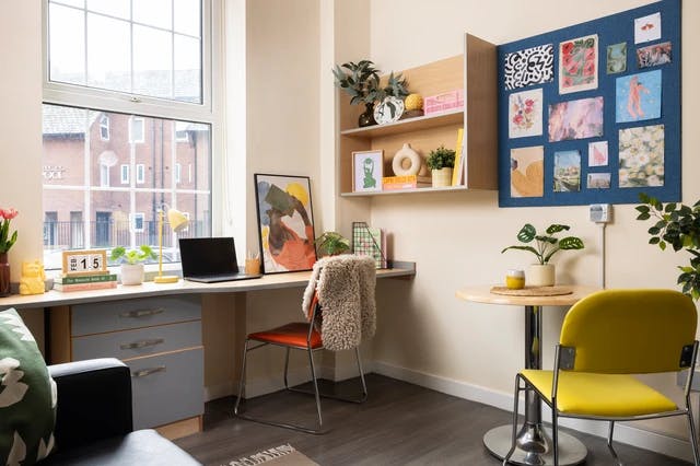 Extra Large Standard Double Studio