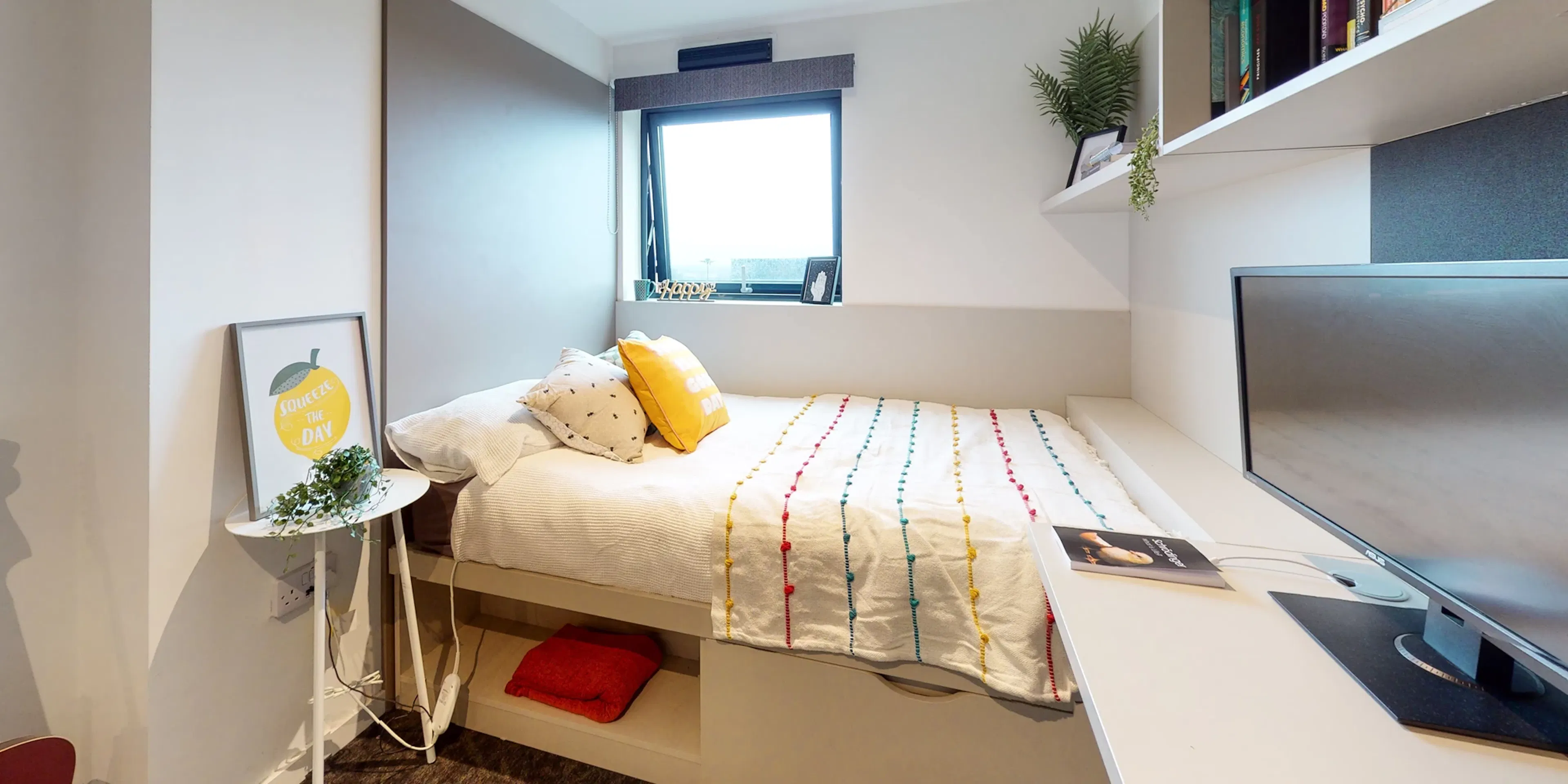 DDA Diamond Ensuite Lower ROOM 3