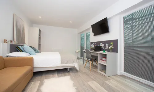 Diamond Plus Studio room image 1