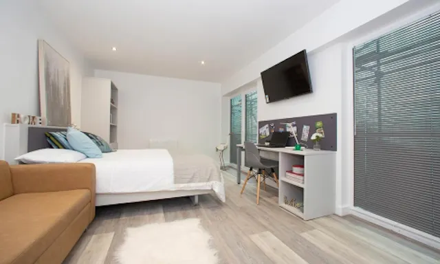 Diamond Plus Studio  room image 1