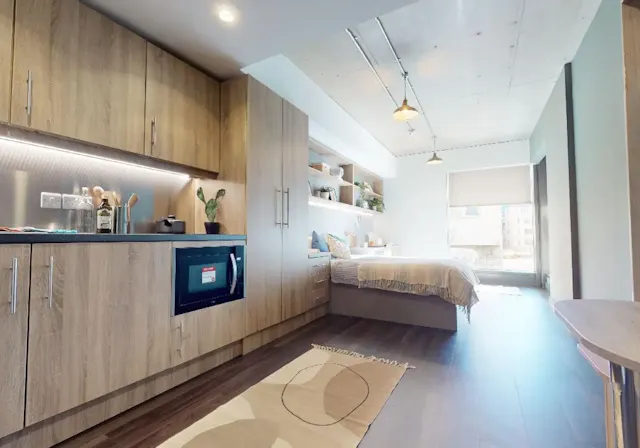 Diamond Studio Deluxe room image 2