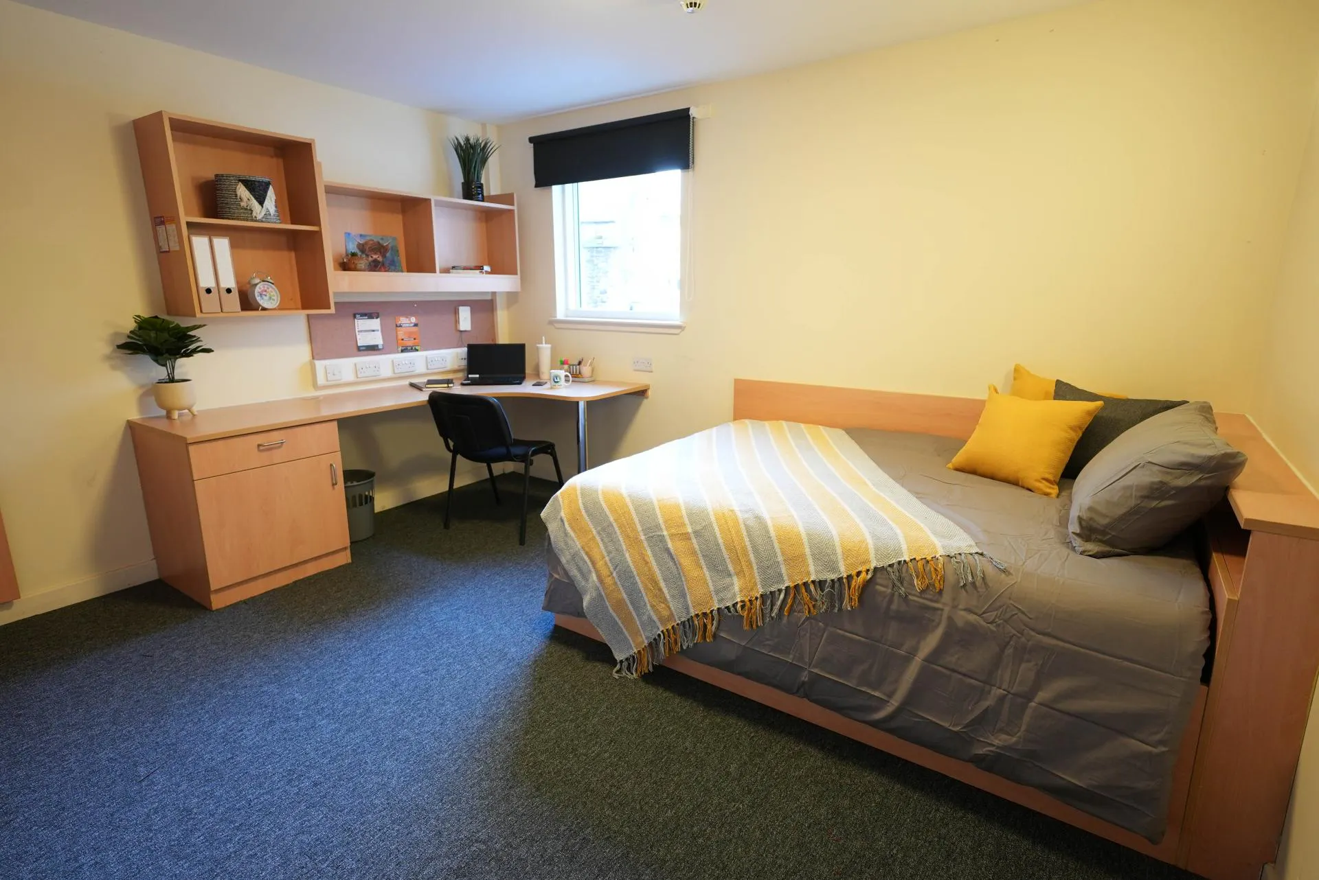 Hub Students