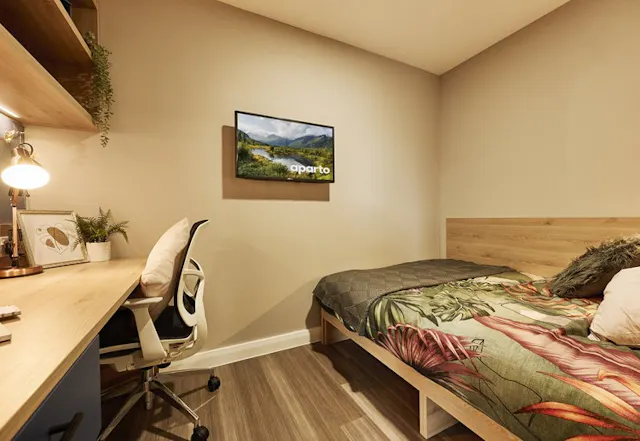 Dual Twin room image 1