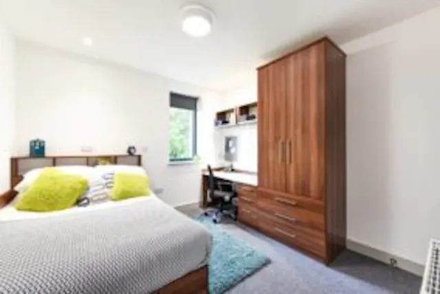 Studio Bronze Plus room image 1