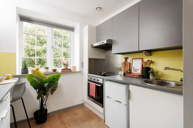 Studio Medium Standard Double room image 2