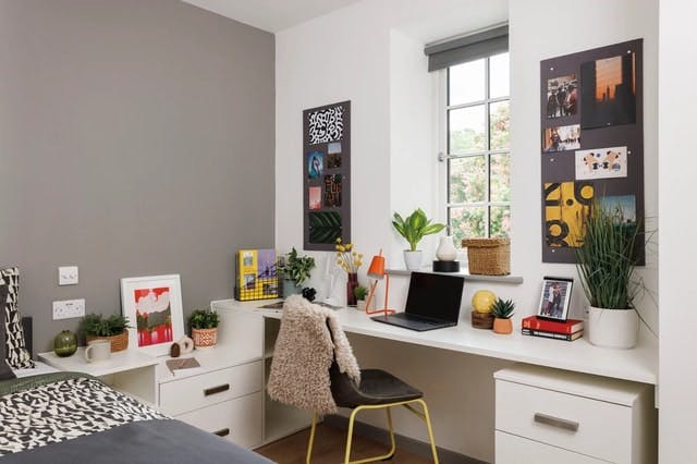 Studio Medium Standard Double