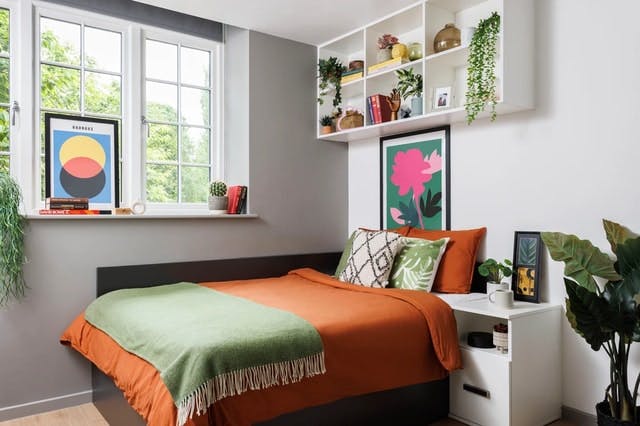 Studio Extra Large Standard Double