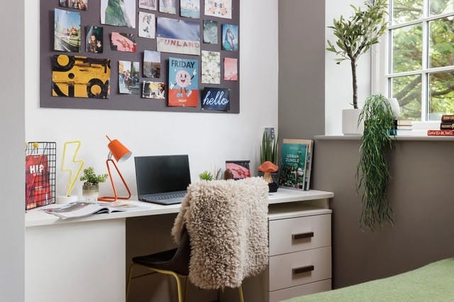 Studio Large Standard Double