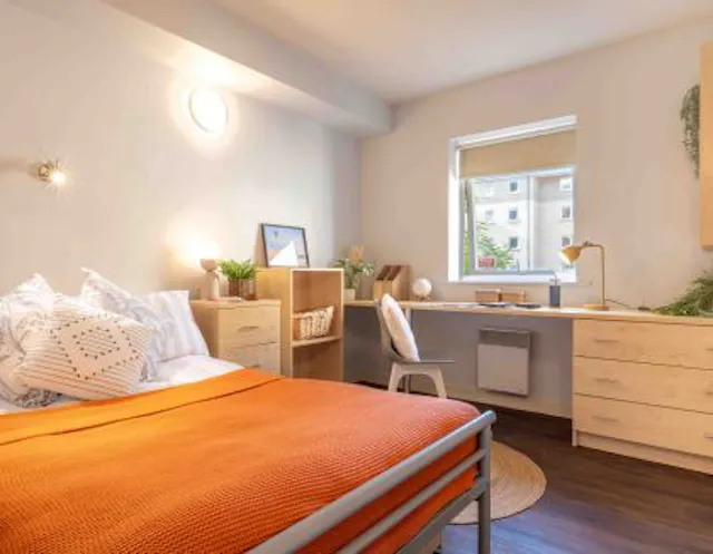 Silver En Suite Deluxe room image 1