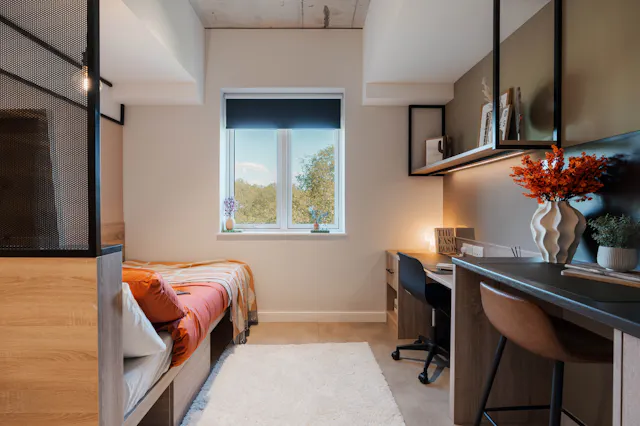Premium Studio room image 2