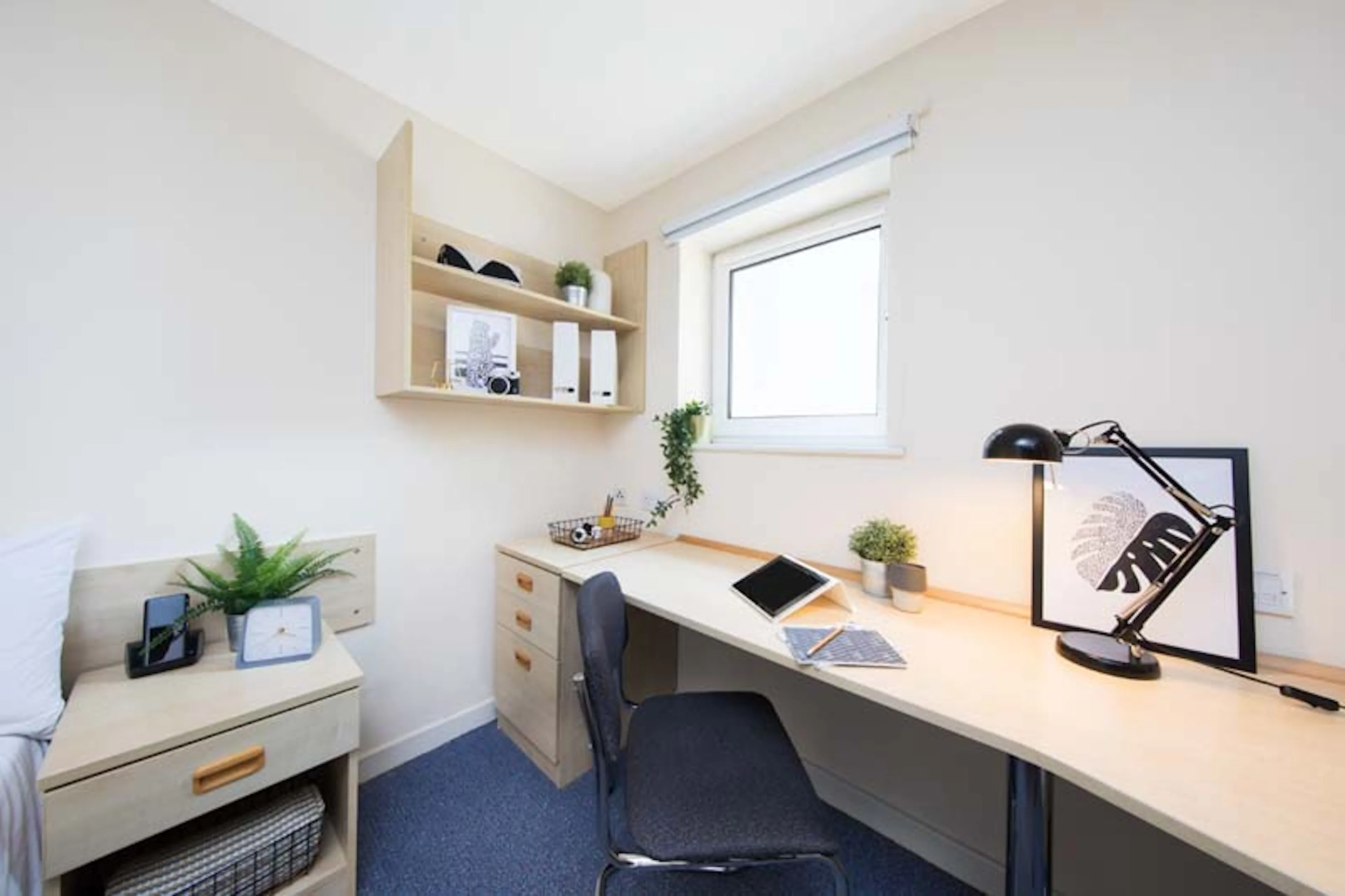 En-Suite, Premium Range 1 ROOM 2