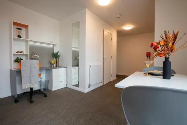 Elegance Plus Studio room image 2