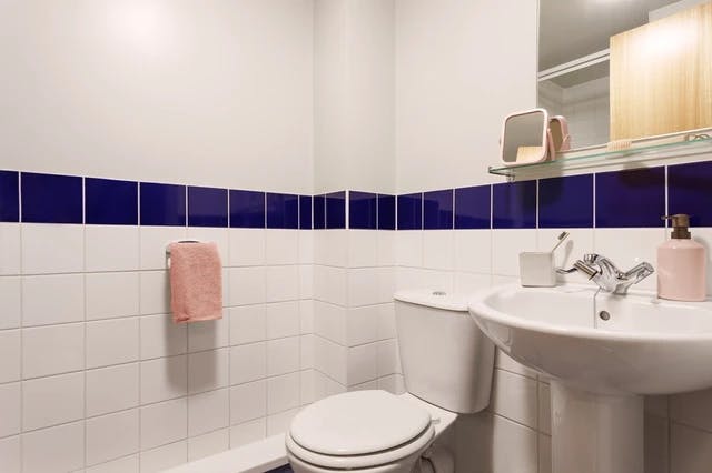 Accessible En-Suite, Basic