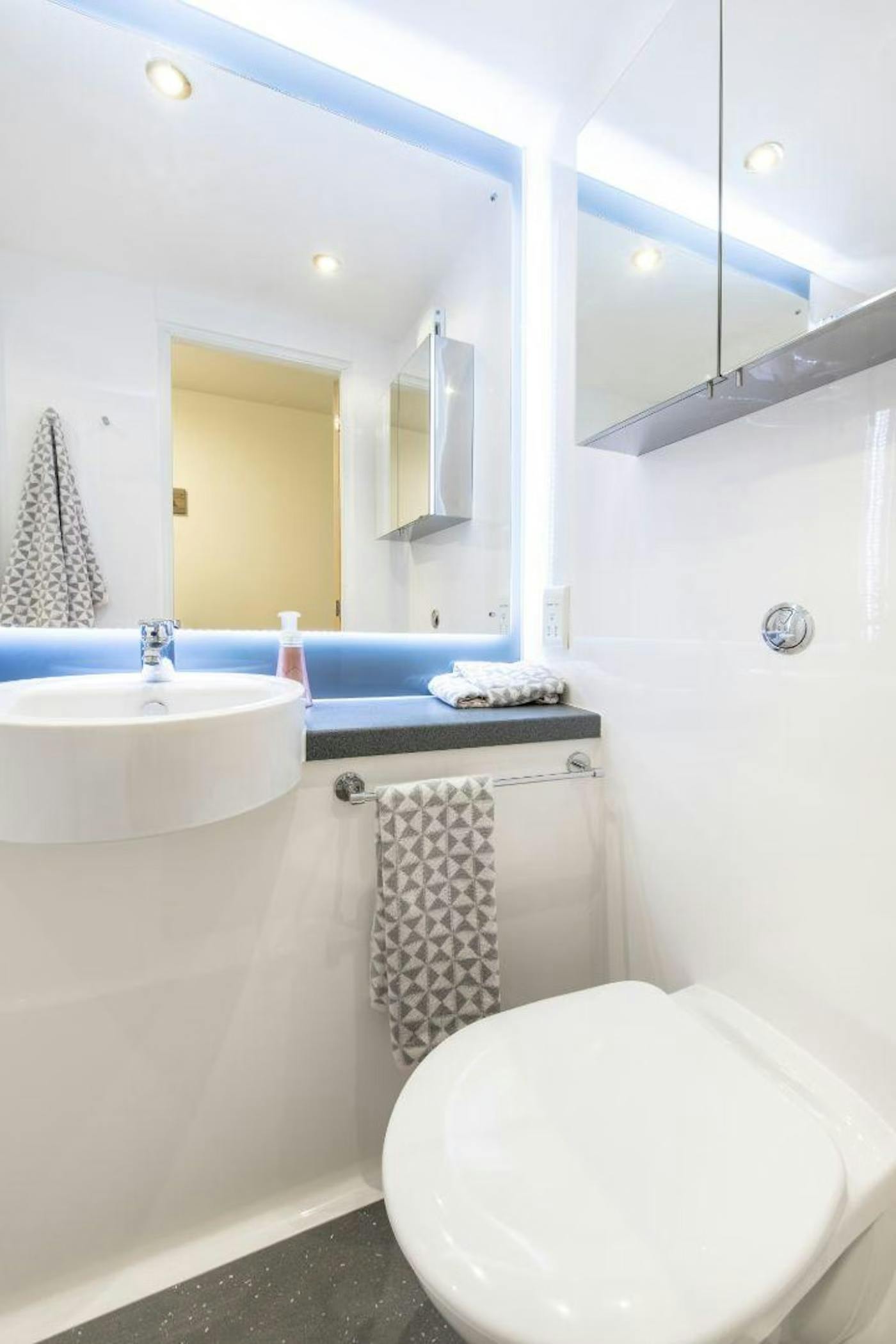 Ensuite-Silver