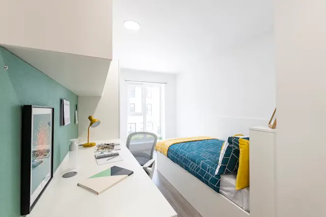Ensuite - Standard room image 2