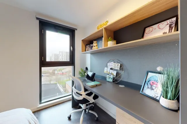 Platinum Ensuite Penthouse Level room image 2