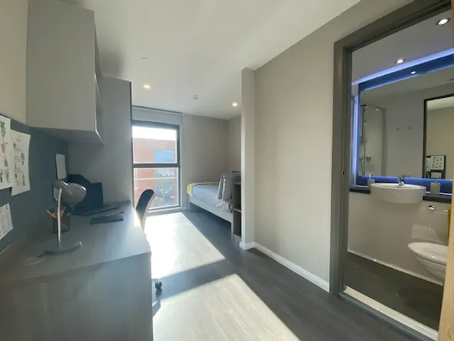 Ensuite Silver room image 2