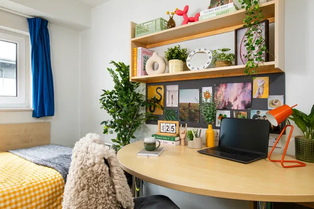 Ensuite: Two Bed Flat Large Standard Double room image 1