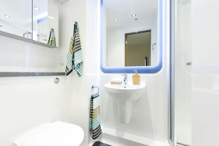 Ensuite standard - skylight room