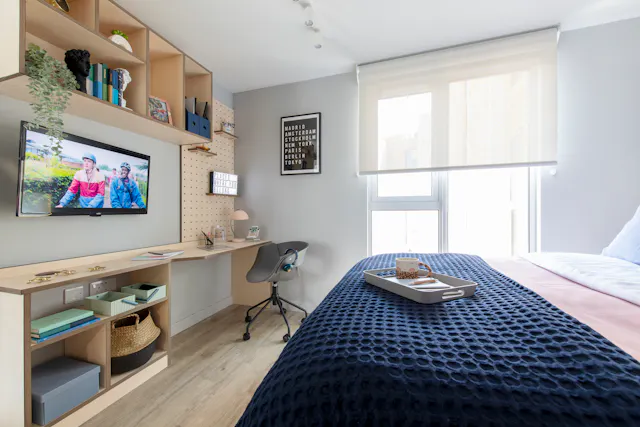 Executive Studio room image 1