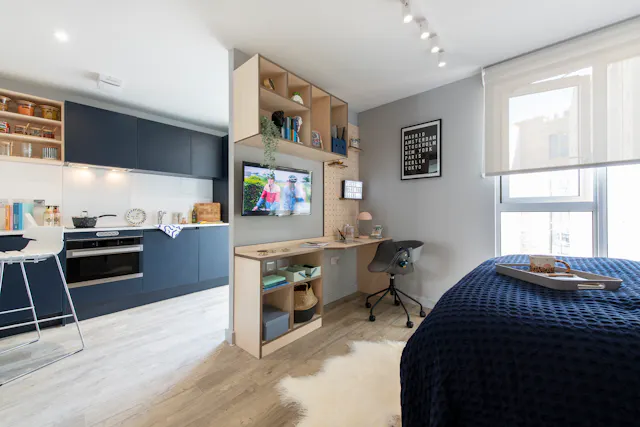 Executive Studio room image 3