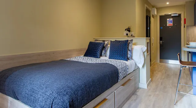 Executive Luxury Studio room image 1