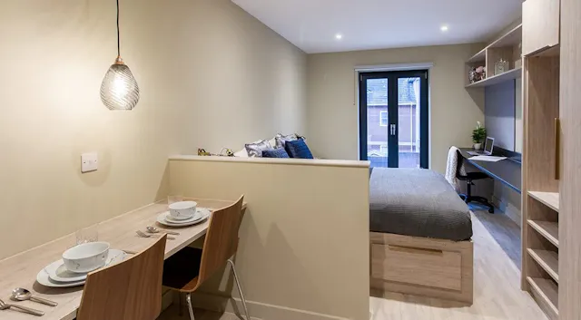 Executive Premium Studio room image 1
