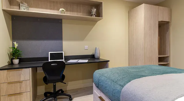 Executive Studio room image 1