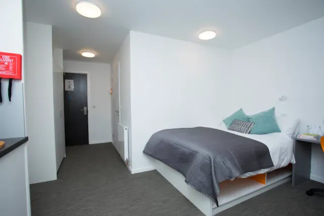 Executive Studio room image 2