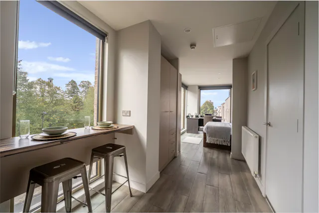 Executive Studio Plus room image 1