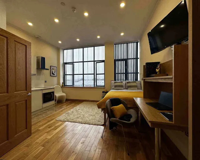 Executive Studio room image 2
