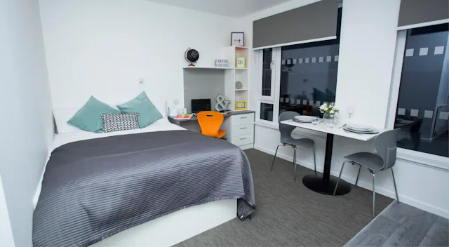Executive Studio room image 1