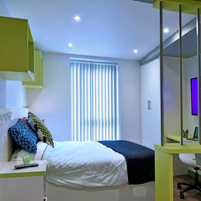 Executive Studio room image 1