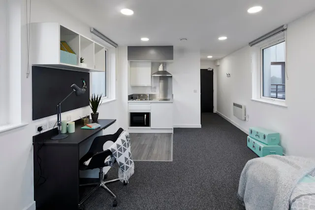 Extra Large Premium Studio room image 1