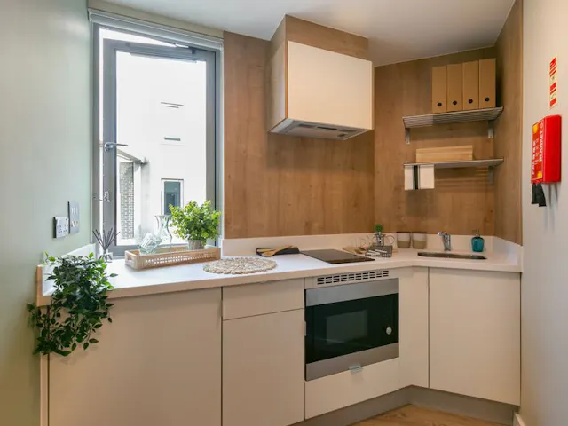 Extra Large Studio room image 2