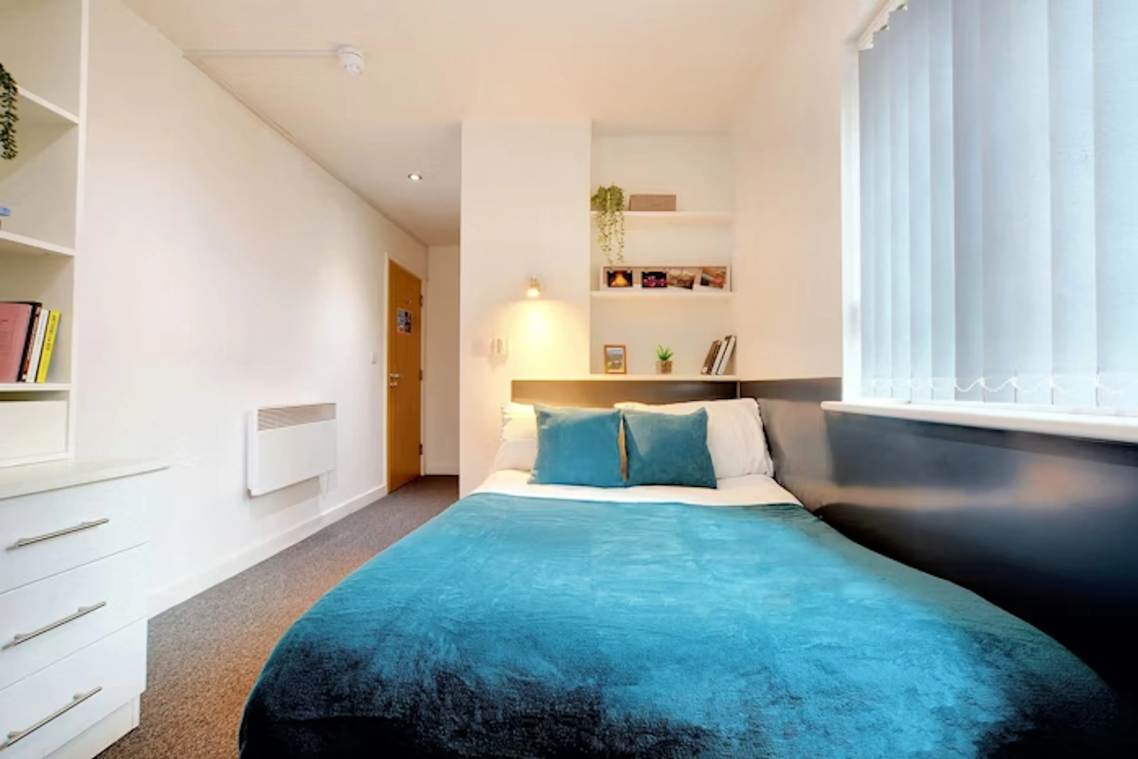 Five bed apartment (shared) ROOM 1