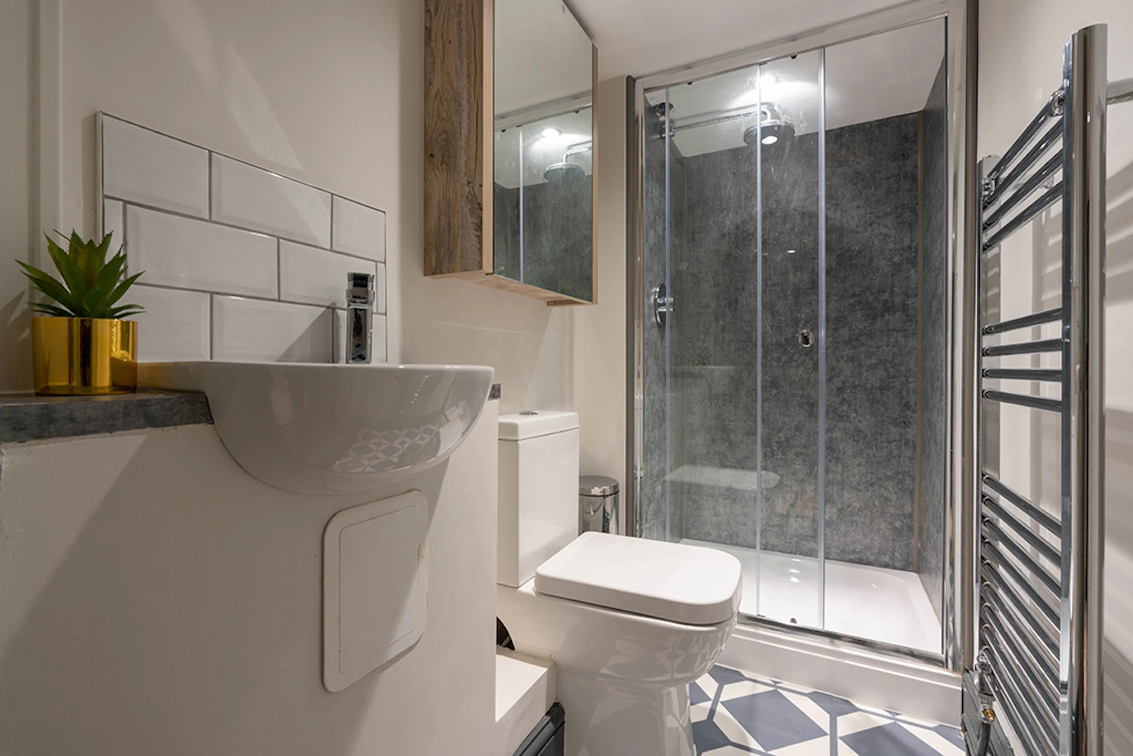 1 Bedroom Apartment BATHROOM 3