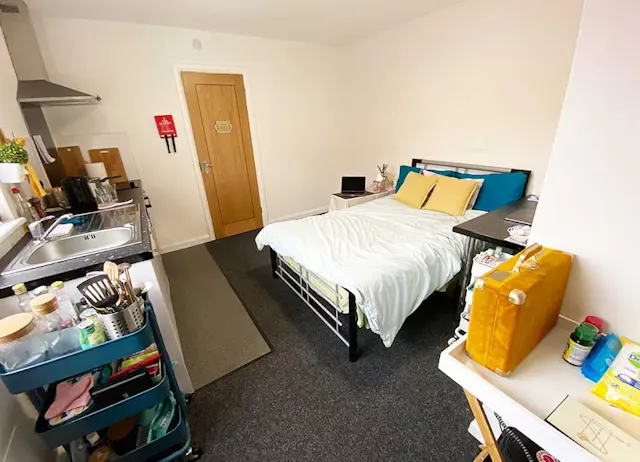 Superior Studio room image 1
