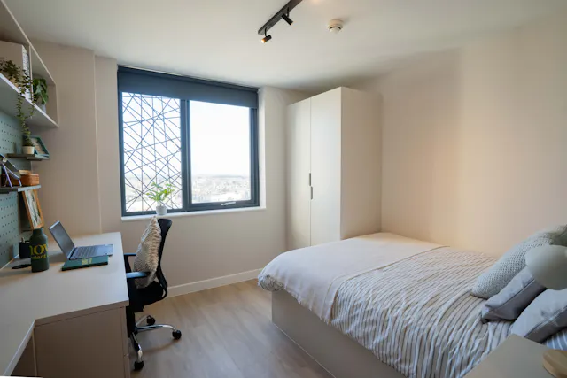 Platinum Studio (High Floors) room image 2