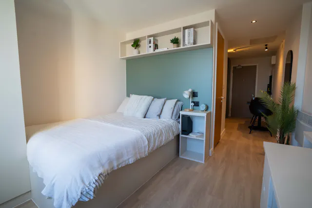 Platinum Studio (Lower Floors) room image 2