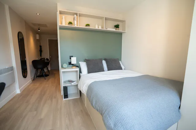Platinum Studio (Mid Floors) room image 2