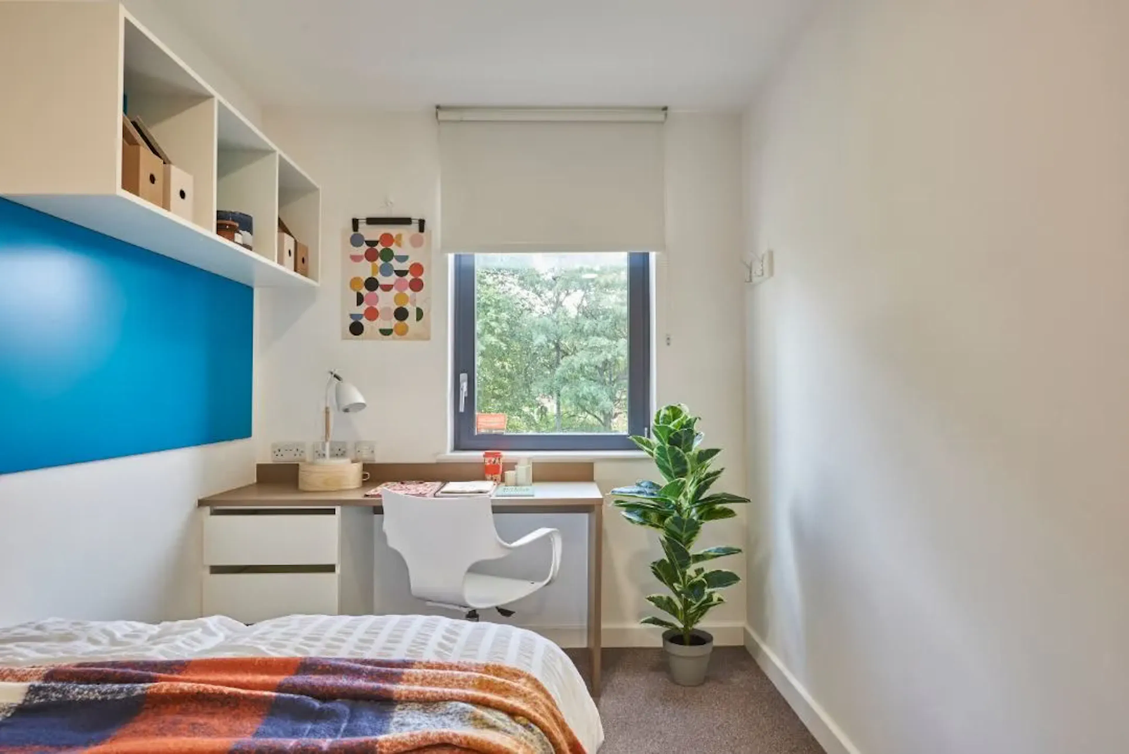 Single En-Suite ROOM 2