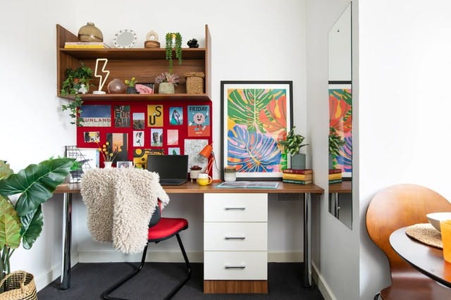 Studio Large Standard Double