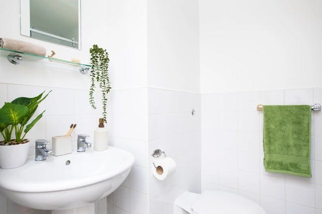 Studio Large Standard Double