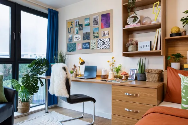 Studio Large Standard Double room image 3
