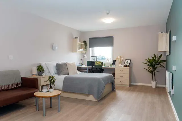 Gold Accessible Studio room image 1