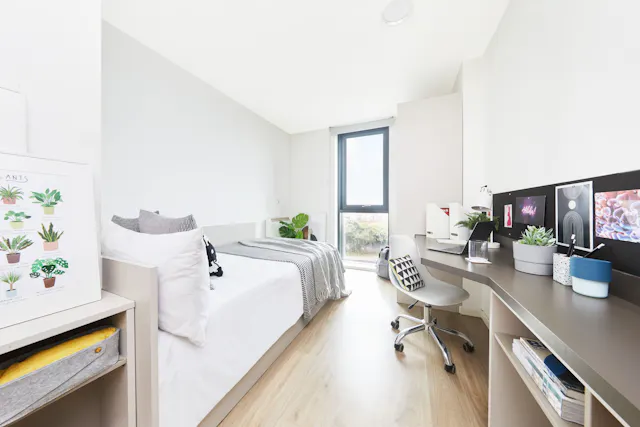 Gold Ensuite room image 2