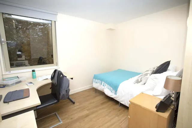 Gold Ensuite room image 4
